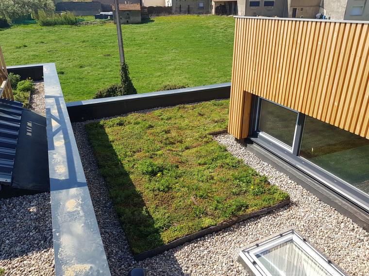 Bijgebouw met een houten gevel en een sedumdak