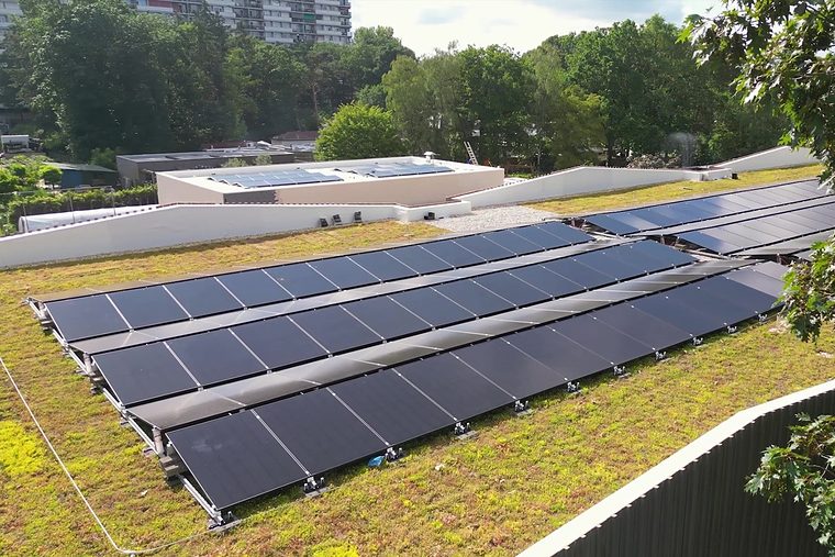Rijen zonnepanelen op een sedumdak